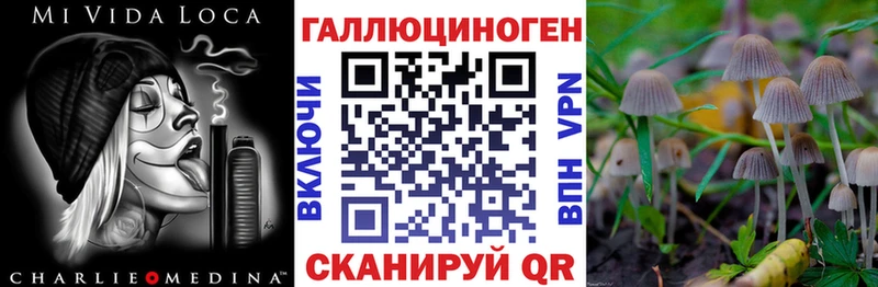 Купить где  Новосокольники  Псилоцибиновые грибы GOLDEN TEACHER 