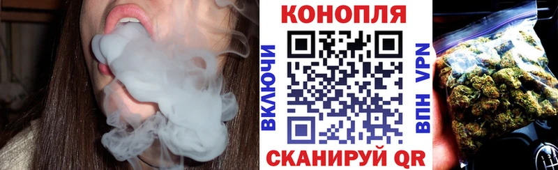 Каннабис сатива  Купить  Новосокольники 